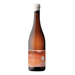 Unico Zelo Terra Cotta Greco 2024 (Vegan Friendly)