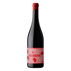 Unico Zelo Pastafarian Sangiovese 2024 (Vegan Friendly)